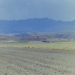 Title 2011-01-15_22.JPG