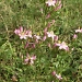 Title PICT0288.JPG