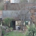 Title IMG_0103.JPG