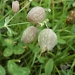 Title PICT0120.JPG