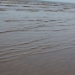 Title IMG_1686.JPG