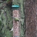 Title IMG_3194.JPG