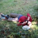Title IMG_0270.JPG