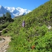 Title IMG_1068.JPG
