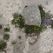 Title DSC00437.JPG