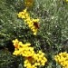Title IMG_3274.JPG