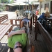 Title IMG_3313.JPG