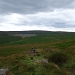 Title DSC_0020.JPG