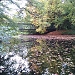Title DSC_0067.JPG