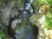 Title P7011000.JPG