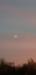 Title 20211112_170400.jpg