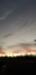 Title 20211119_072352.jpg