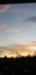 Title 20211119_073958.jpg