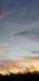 Title 20211119_074028.jpg