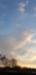 Title 20211119_075439.jpg