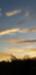 Title 20211119_075445.jpg