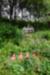 Title DSC01663.JPG