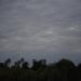 Title DSC00264.JPG