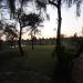 Title DSC00425.JPG