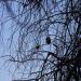 Title DSC00543.JPG