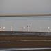 Title P7100723.JPG