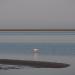 Title P7100729.JPG
