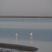 Title P7100730.JPG